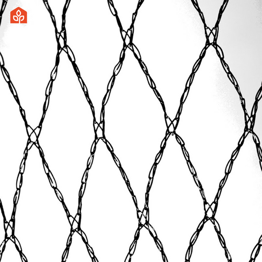 Bird mesh