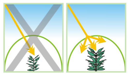 Difusión de luz