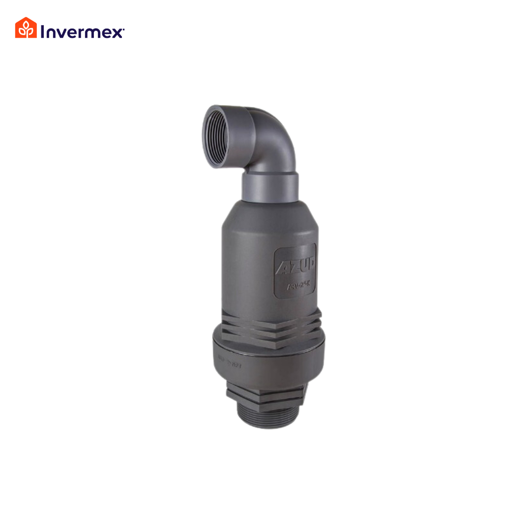 Double acting air valve